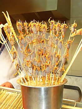 Roasted fried insects and scorpions and bugs as snack street food in China, Beijing