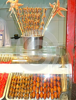 Roasted fried insects and scorpions and bugs as snack street food in China, Beijing