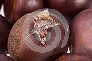 Roasted fruit of chestnut macro