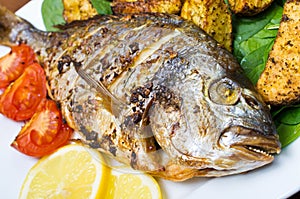 Roasted gilthead fish