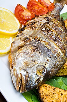 Roasted gilthead fish