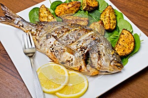 Roasted gilthead fish photo