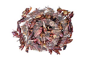 Roasted grasshoppers