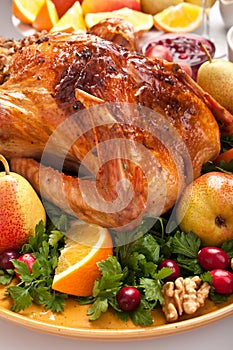 Roasted holiday turkey