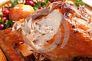 Roasted Holiday Turkey