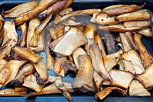 Roasted king oyster mushrooms with golden, caramelized exterior