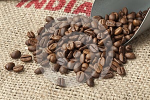 Roasted Malabar coffee beans photo