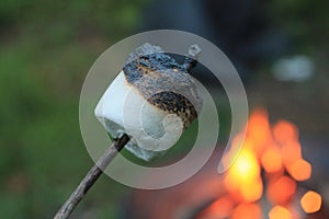 Roasted Marshmallow on a Stick