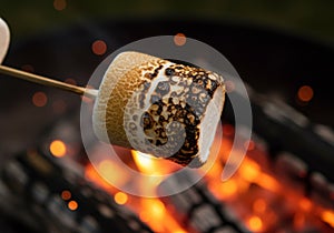 Roasted Marshmallow on a Stick Over a Campfire