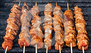 Roasted meat sticks