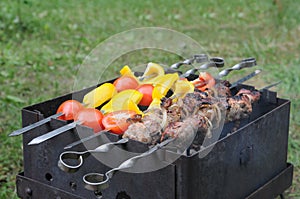 Roasted meat with vegetable