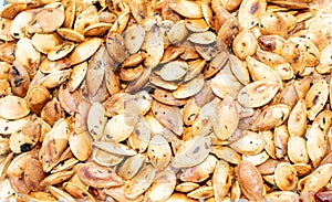 Roasted nutritious pumpkin seeds with herbs