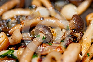 Roasted with onion white and brown shimeji edible mushrooms native to East Asia, buna-shimeji is widely cultivated and rich umami