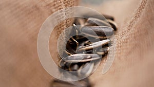 Roasted organic black sunflower seeds with a white stripe falling on a rough burlap