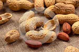 Roasted peanuts on burlap close-up. Peanut background