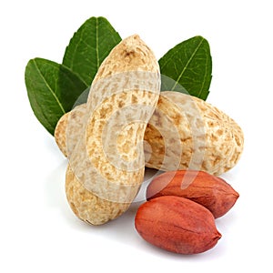 Roasted peanuts in shel with leaves isolated photo