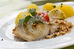 Roasted pikeperch fillet with boiled potatoes photo