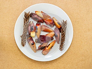 Roasted pine nuts top view