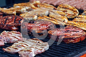 Roasted pork knuckle, chicken breast, and traditional Romanian mititei on the grill, focus on pork knuckle