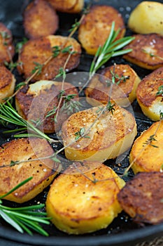 Roasted potato with sea solt and thyme seasoning