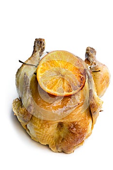Roasted poussin with orange and rosemary isolated on white photo