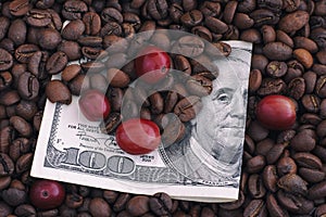 Roasted and raw red coffee beans on one hundred dollar bill