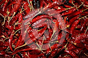 roasted red hot chilly