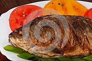 Roasted river fish carp on a white plate