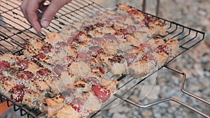 Roasted salmon slices and tomatoes in sesame removed from a grille