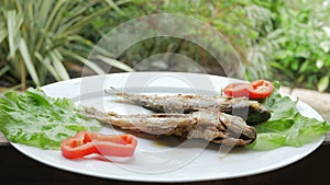 Roasted sea fish with fresh herbs and pepper. Behind the cafe is rain