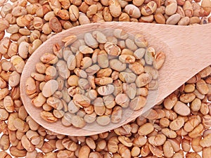 Roasted soybeans in wooden spoon