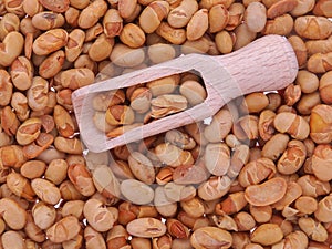 Roasted soybeans and wooden spoon