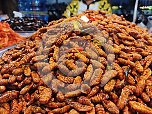 roasted spicy silkworm pupae seasoned with chilli