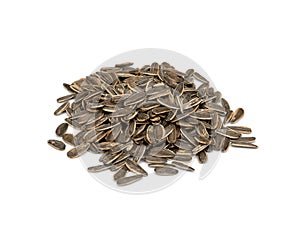 Roasted Sunflower Seeds Unsalted, In Shell