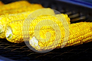 Roasted sweet corns on the bbq grill