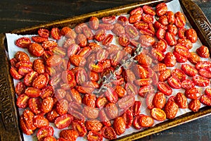 Roasted Tomatoes on a Sheet Pan photo