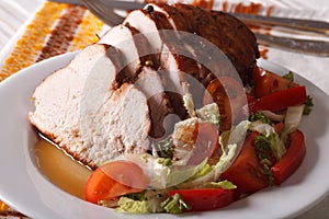 Roasted turkey breast and fresh vegetables closeup. Horizontal