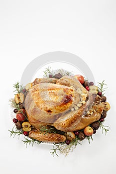 Roasted Turkey with Grab Apples over white