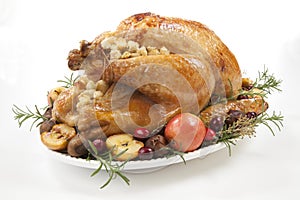 Roasted Turkey with Grab Apples over white