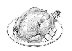 Roasted turkey on a plate simple hand drawn sketch engraving style