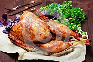 Roasted Turkey. Thanksgiving table served with turkey, decorated with greens and basil on dark wooden background. Homemade roasted