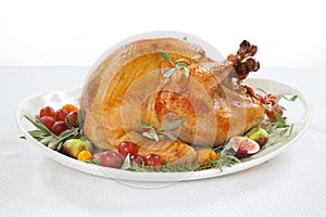 Roasted Turkey on tray over white