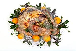 Roasted turkey on white