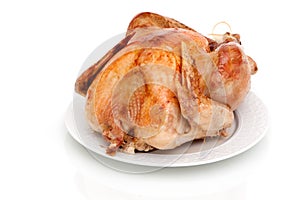 Roasted turkey on white background