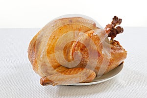 Roasted Turkey on white photo