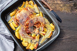 Roasted whole chicken or turkey with potatoes for celebration and holiday. Christmas, thanksgiving, new year's eve