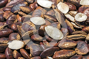 Roasted wild almond seeds - Irvingia Malayana
