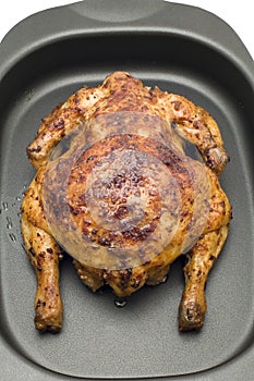Roasting chicken