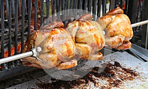 Roasting chicken