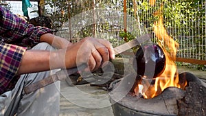 Roasting eggplant using iron tweezers on a traditional firewood stove. Uttarakhand India